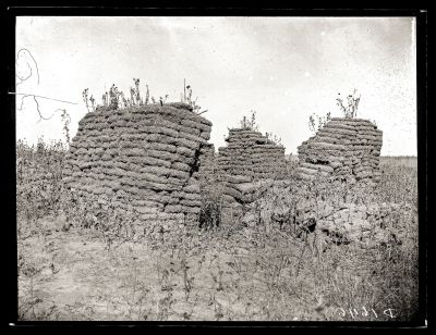 Iconic_Sodbusters_of_the_Prairie_D_D_Teoli_Jr__A_C__2812529.jpg