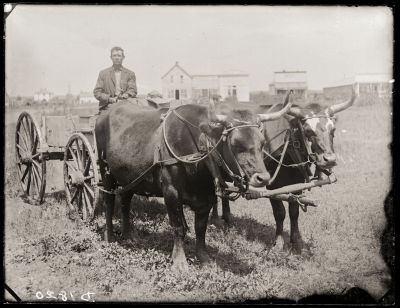 Iconic_Sodbusters_of_the_Prairie_D_D_Teoli_Jr__A_C__2815729.jpg