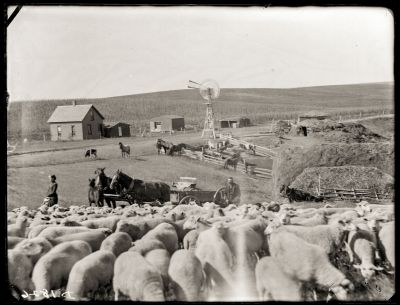 Iconic_Sodbusters_of_the_Prairie_D_D_Teoli_Jr__A_C__2816029.jpg