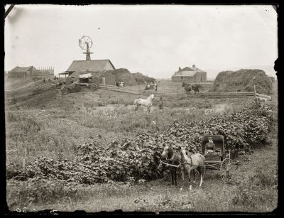 Iconic_Sodbusters_of_the_Prairie_D_D_Teoli_Jr__A_C__2818529.jpg