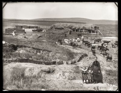 Iconic_Sodbusters_of_the_Prairie_D_D_Teoli_Jr__A_C__283229.jpg