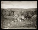 Iconic_Sodbusters_of_the_Prairie_D_D_Teoli_Jr__A_C__281429.jpg