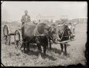 Iconic_Sodbusters_of_the_Prairie_D_D_Teoli_Jr__A_C__2815729.jpg