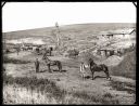 Iconic_Sodbusters_of_the_Prairie_D_D_Teoli_Jr__A_C__2816129.jpg