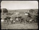 Iconic_Sodbusters_of_the_Prairie_D_D_Teoli_Jr__A_C__2816229.jpg