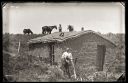Iconic_Sodbusters_of_the_Prairie_D_D_Teoli_Jr__A_C__284629.jpg
