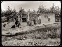 Iconic_Sodbusters_of_the_Prairie_D_D_Teoli_Jr__A_C__287929.jpg